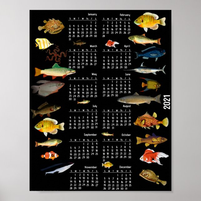 Fischkalender Poster (Vorne)