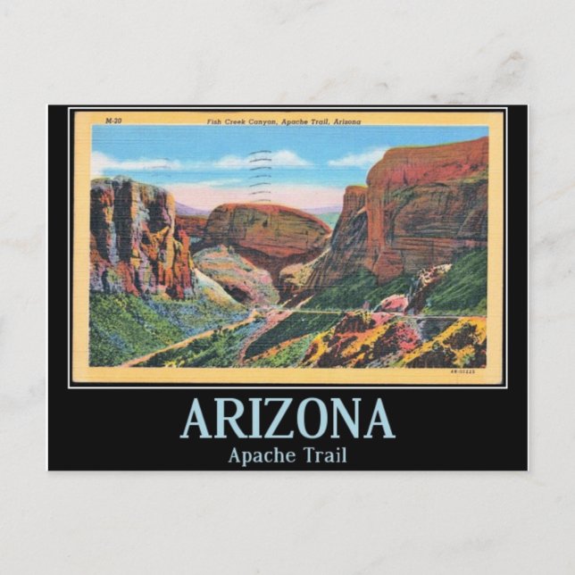 Fischkreuz Canyon, Arizona Vintag Postkarte (Vorderseite)