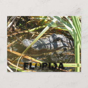 Fischlager, Florida Postkarte