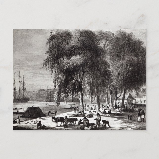 Fischmarkt, Paramribo Postkarte (Vorderseite)