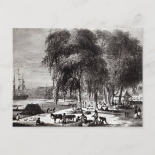 Fischmarkt, Paramribo Postkarte