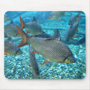 Fischmuschel Mousepad