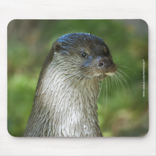 Fischotter Mousepad (Vorne)