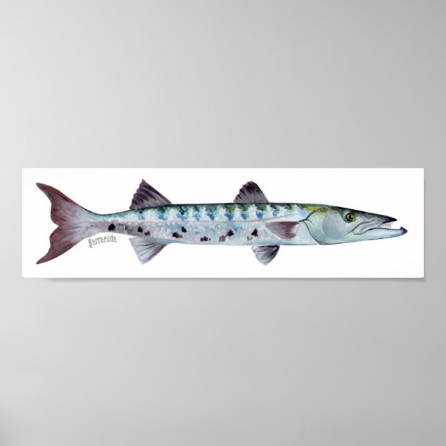 Fischplakat Poster (Vorne)
