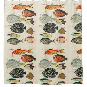Fischsammlung Duschvorhang