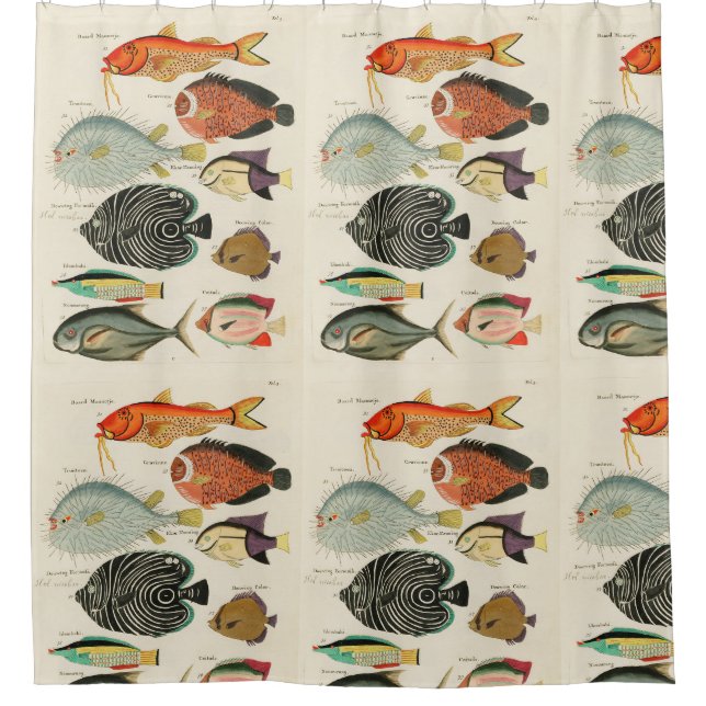Fischsammlung Duschvorhang (Vorderseite)