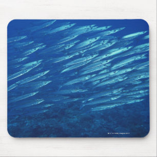 Fischschule 11 mousepad