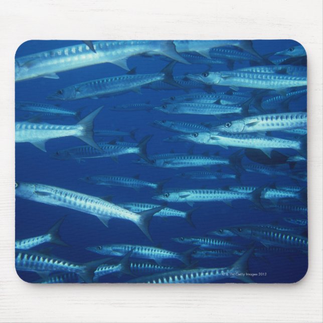 Fischschule 9 mousepad (Vorne)