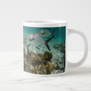 Fischschule Jumbo-Tasse