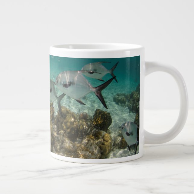 Fischschule Jumbo-Tasse (Rechts)