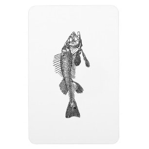 Fischskelett Magnet