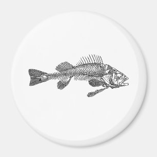 Fischskelett Magnet