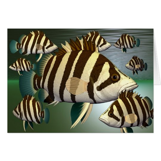 fish3 karte
