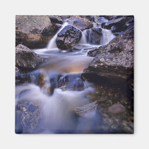 Fish Creek Falls in der Nähe von Steamboat Springs Magnet