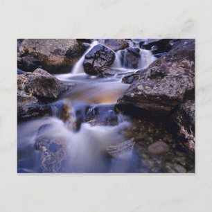Fish Creek Falls in der Nähe von Steamboat Springs Postkarte