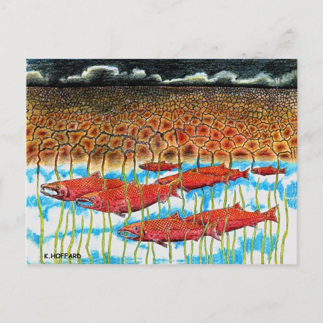 Fish Dream Postkarte (Vorderseite)