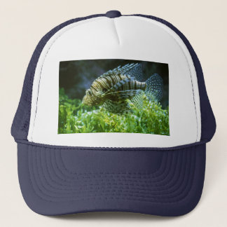 FISH HAT TRUCKERKAPPE