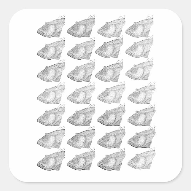 Fish Head Muster Quadratischer Aufkleber (Vorderseite)