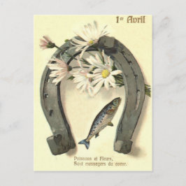 Fish Horseshoe Daisy Postkarte