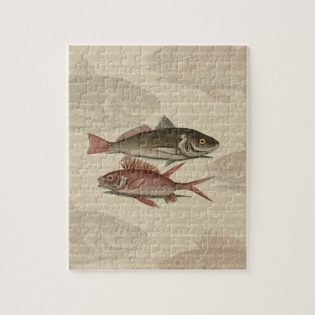 Fish Red Perch Fisherman Art (Vertikal)