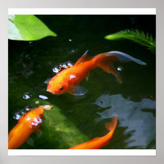 FISH TALES www.debbie-may.fineartamerica.com Poster