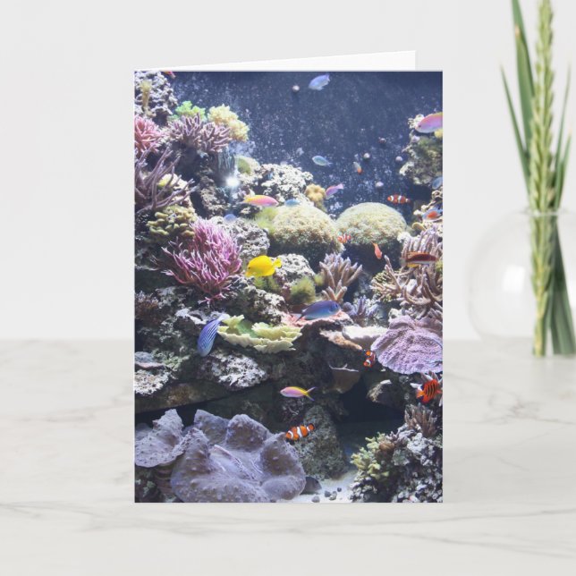 Fish Tank Karte (Vorderseite)
