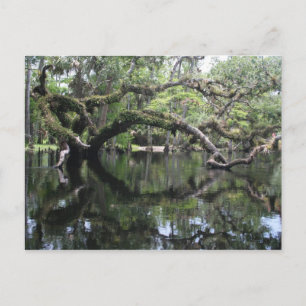 Fisheating Nebenfluss-Postkarte Postkarte