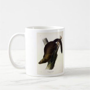 Fisher (Pennant's Marten oder Cat Fisher) von Audu Kaffeetasse