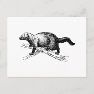 Fisher Postkarte