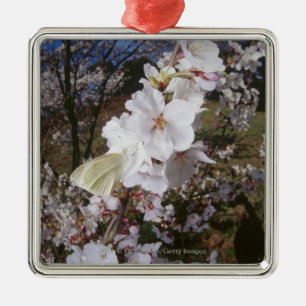 Fisheye Ansicht des Schmetterlinges auf Blume Ornament Aus Metall