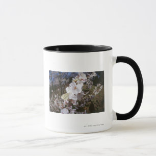 Fisheye Ansicht des Schmetterlinges auf Blume Tasse