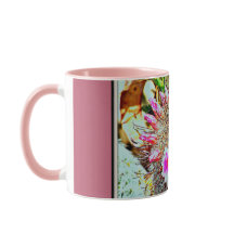 Fishhook-Kaktus mit Rosa blüht Tasse