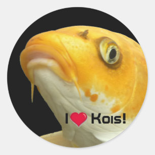 Fishies - Koi no.5 - I love Kois ! Autocollants