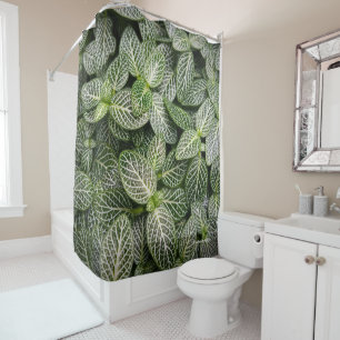Fittonia Mosaik Pflanze mit verschiedenen Blätter Duschvorhang