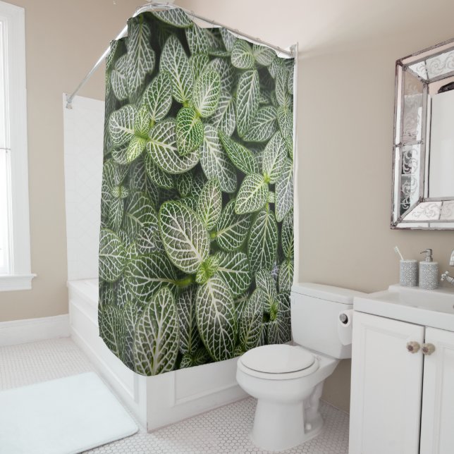 Fittonia Mosaik Pflanze mit verschiedenen Blätter Duschvorhang (Beispiel)