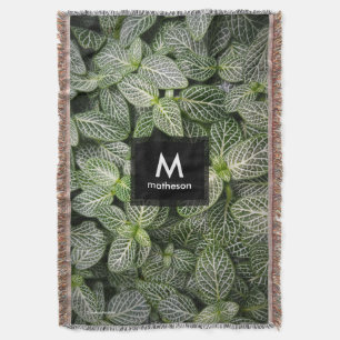 Fittonia-Mosaikpflanze mit panaschierten Blättern Decke