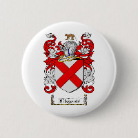 FITZGERALD FAMILIENWAPPEN - FITZGERALD WAPPEN