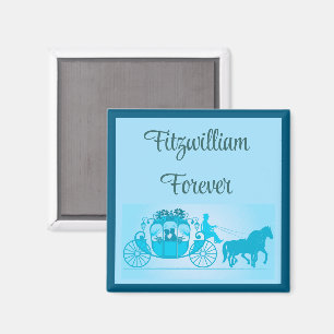 Fitzwilliam für immer, Mr. Darcy Stolz und Vorurte Magnet