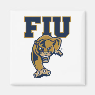FIU-Paneele Magnet