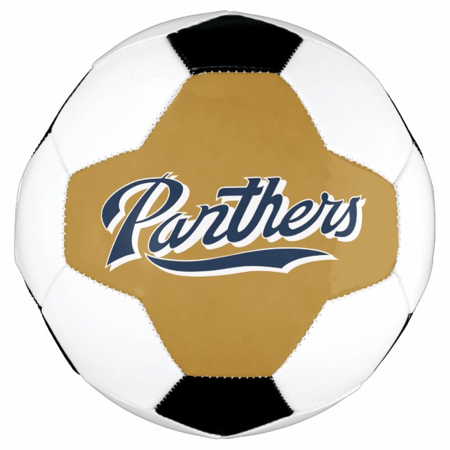 FIU Panthers Script Fußball (Vorderseite)