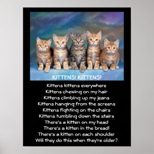 Five Adorable Tabby Kittens Poster