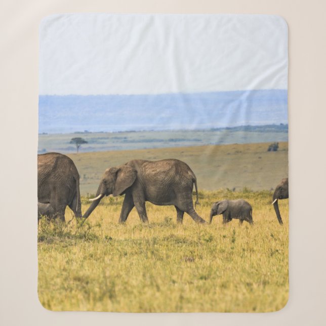 FIVE ELEPHANTS ON BROWN GRASS SHERPADECKE (Vorderseite)