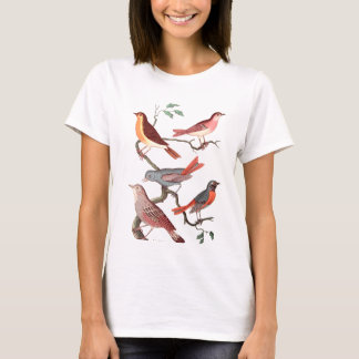 Five lovely vintage birds T-Shirt
