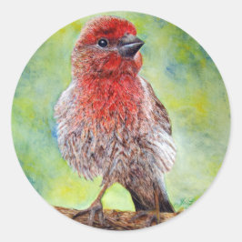 Fixierkleber Runder Aufkleber