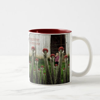 Fizzledorfs Kran-Bauernhof Zweifarbige Tasse