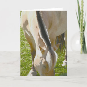 Fjord-Grußkarte Karte