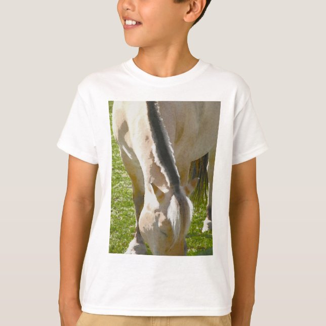 Fjord T - Shirt (Vorderseite)