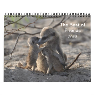 FKMP Meerkats 2013 Kalender