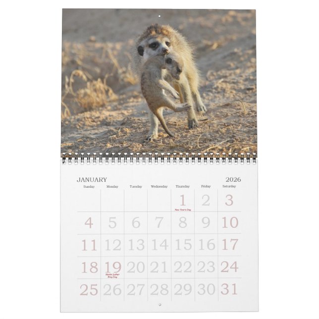 FKMP Meerkats 2013 Kalender (Jan 2026)