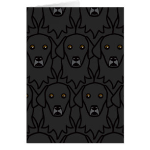 Flach-Überzogene Retriever